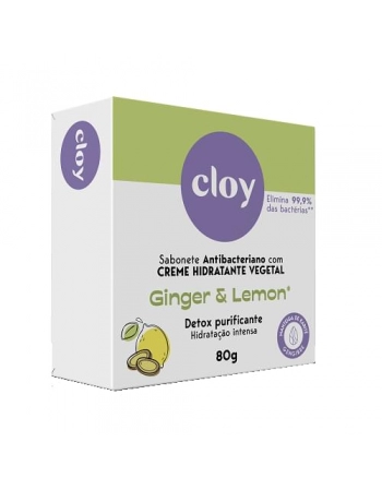 SINTER CLOY SABONETE HID GINGER E LEMON ANTIBAC 80G (72)